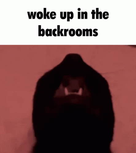 Backrooms Black Cat GIF - Backrooms Black Cat Woke Up In The Backrooms GIFs