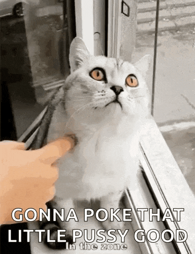 a person is petting a cat in front of a window with the words `` gonna poke that little pussy good '' .