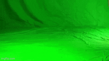 a polar bear is walking on a green screen in the snow .
