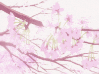 a tree branch with lots of pink flowers on it