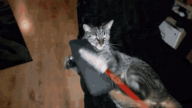 a cat laying on a black couch playing with a red ribbon