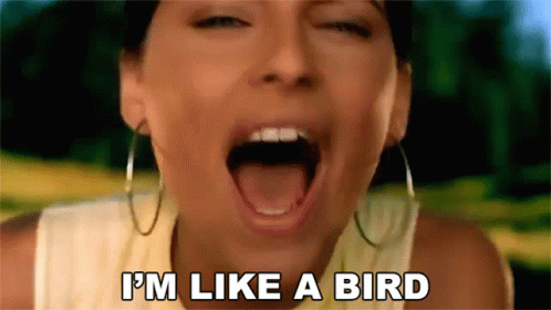 Im Like A Bird Nelly Furtado GIF - Im Like A Bird Nelly Furtado Im A Bird GIFs