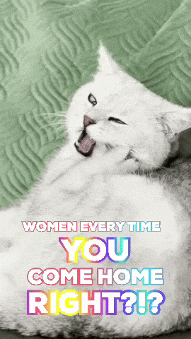 a picture of a cat with the words women every time you come home right below it