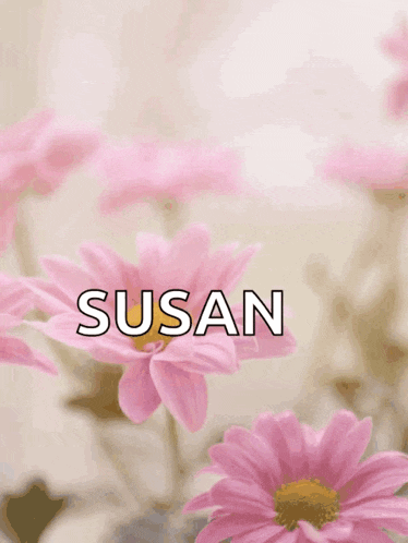 a happy mother 's day card with pink flowers and the name susan on it