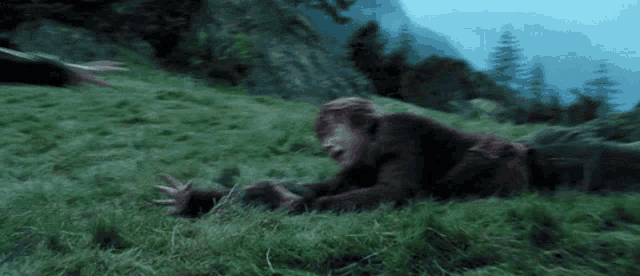 a person is laying in the grass with their hand out