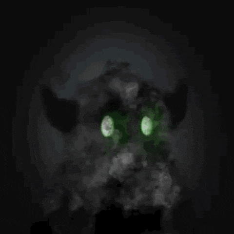 a ghost with green eyes is surrounded by smoke and fog .