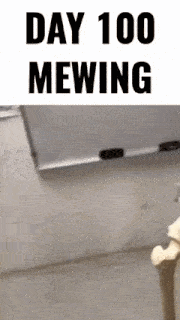 Mewing Skeleton GIF - Mewing Skeleton Nikita GIFs