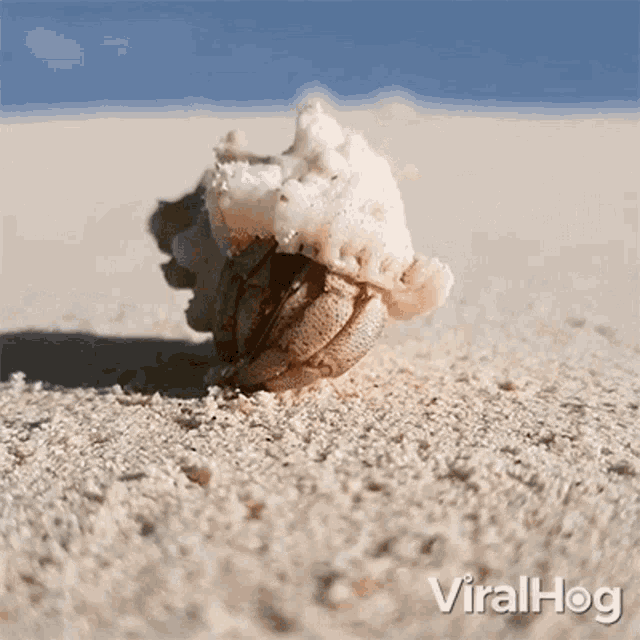 Leaving Viralhog GIF - Leaving Viralhog Bye GIFs