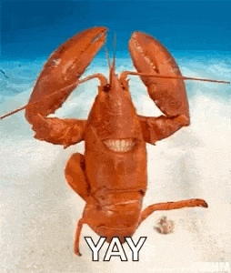 a lobster is standing on its hind legs in the water .