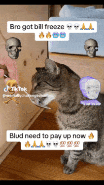 a cat is licking a spoon with skulls and flame emojis around it