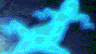 a blue lizard is glowing in the dark and looks like a ghost