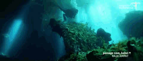 a scuba diver is swimming through a passage cave
