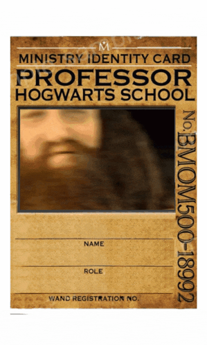 ministry identity card for professor hogwarts school