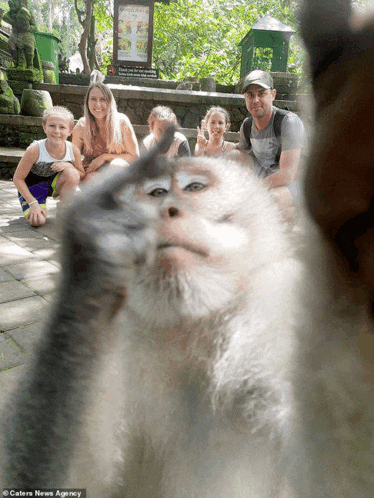 a group of people are posing for a picture with a monkey in front of a sign that says " please do not touch "