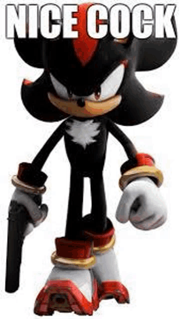 shadow the hedgehog from sonic the hedgehog is holding a gun and says `` nice cock '' .