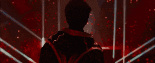 the back of a person wearing a hooded jacket