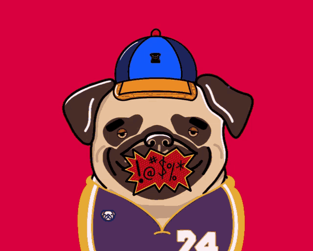 a pug dog wearing a blue hat and a jersey with the number 24 on it