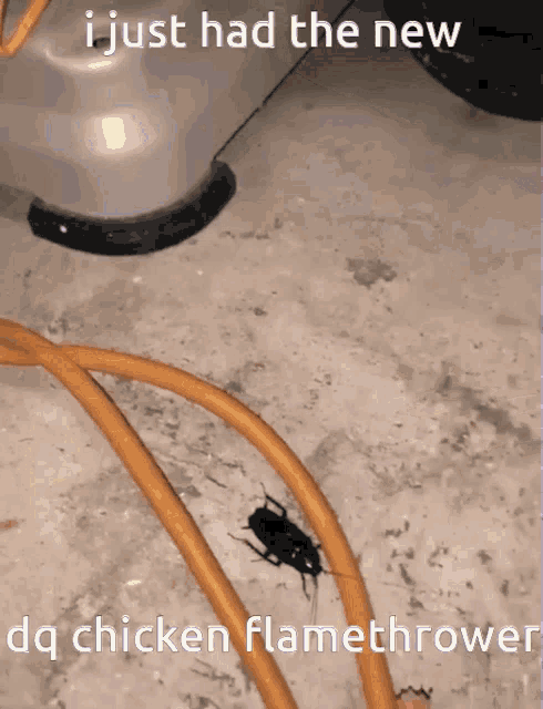 a picture of a cockroach next to a chicken flamethrower