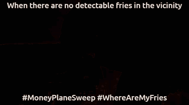 Money Plane Fries GIF