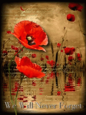 Sad We Will Never Forget GIF - Sad We Will Never Forget Poppies GIFs
