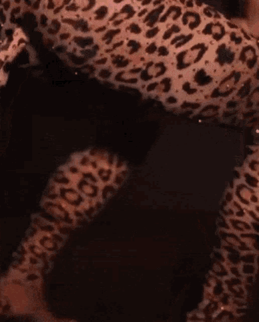 a woman is wearing a leopard print outfit and dancing