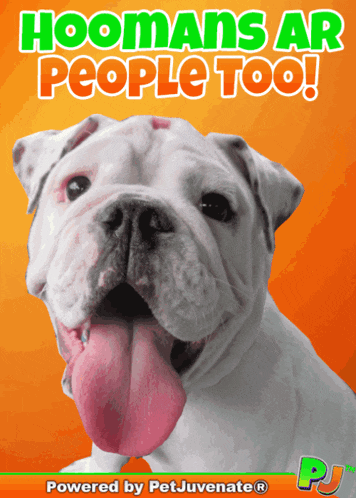 a poster with a dog and the words " hoomans ar people too " on it