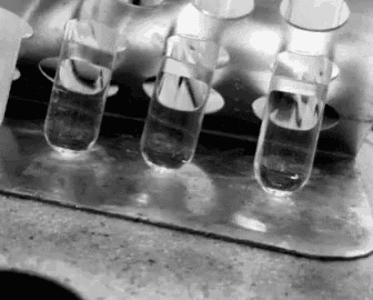 Science Lab GIF - Science Lab Test Tubes GIFs