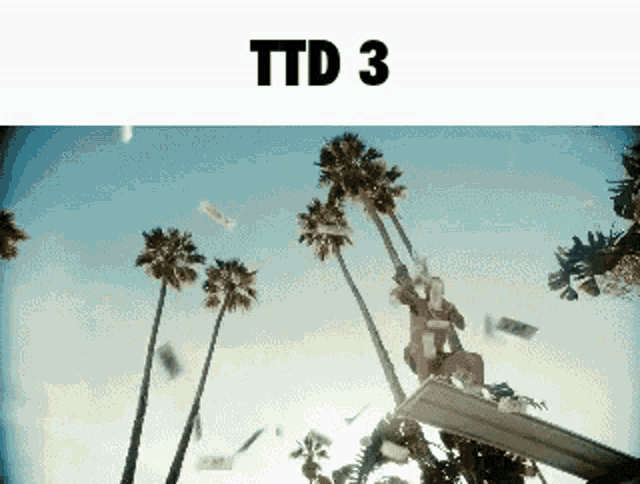 a picture of palm trees with the words ttd 3 on the top