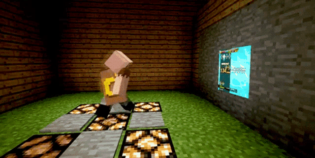 a screenshot of a minecraft game shows a person standing in front of a wall