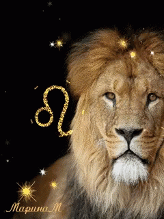 Leo Season Lion GIF - Leo Season Lion Shiing GIFs