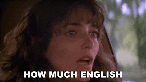a woman is sitting in a car with her mouth open and the words `` how much english '' written on her face .