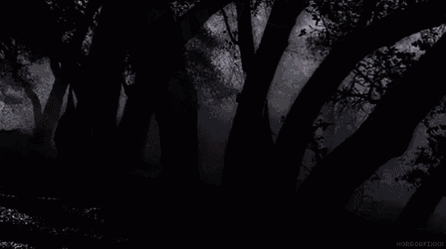 a black and white photo of a group of people in hoods standing in the woods .