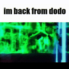 Dodo Im Back GIF - Dodo Im Back Back GIFs