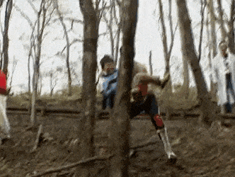 a group of people are standing in a forest .