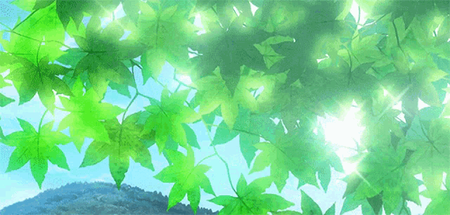 the sun is shining through the leaves of the tree