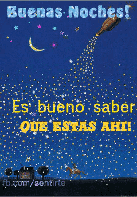 a poster that says buenas noches with a bottle flying through the sky