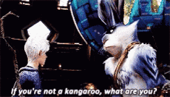 a cartoon character says if you 're not a kangaroo what are you .