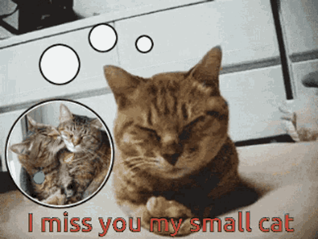 Missing You I Miss You GIF - Missing You I Miss You Miss You GIFs