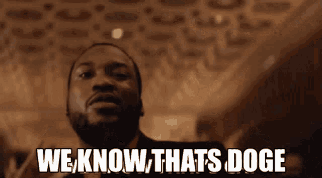 We Know Thats Doge Doge GIF