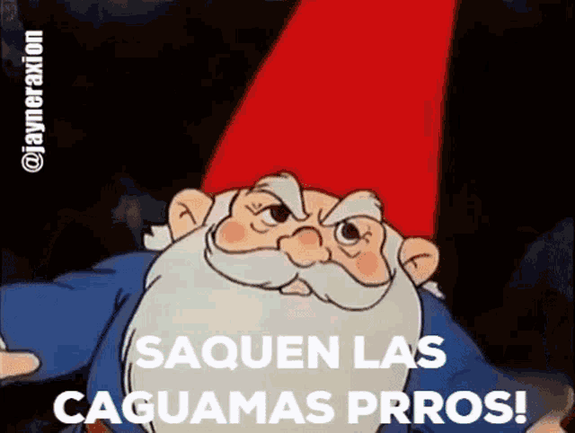 a cartoon gnome with a red hat and the words saquen las caguas prros