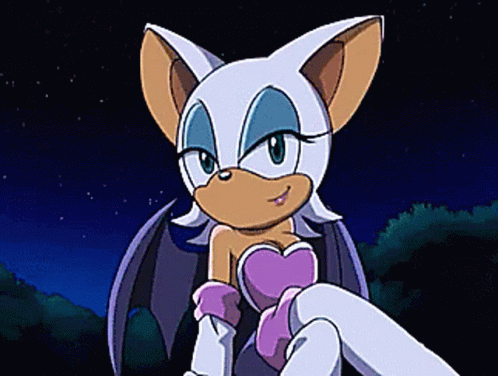 Sonic X Sonic X Rouge GIF - Sonic X Sonic X Rouge Rouge The Bat GIFs