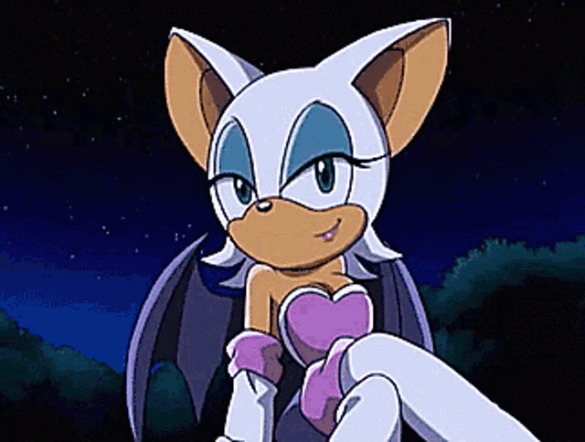 rouge the bat from sonic the hedgehog is wearing a purple dress