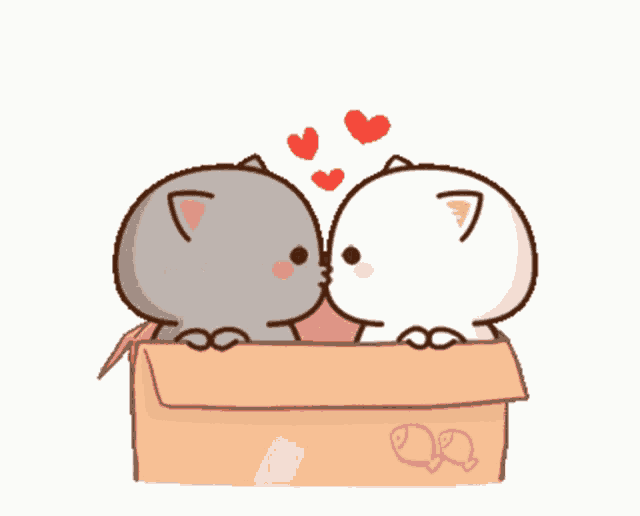 two cartoon cats are in a cardboard box with hearts flying around them