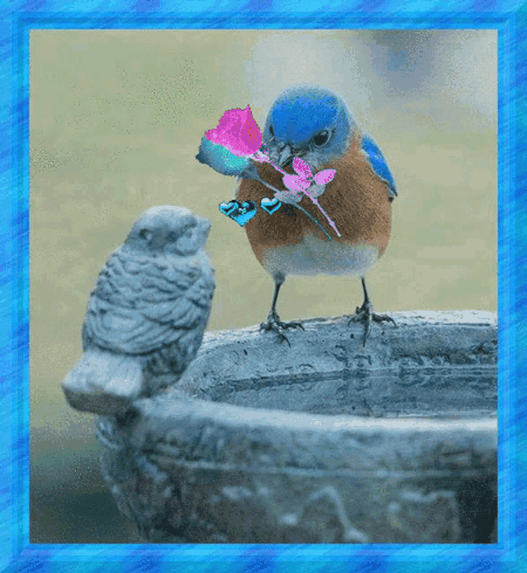 a bird with a flower in its beak is standing next to another bird in a bird bath
