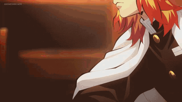 a close up of a person 's face with the words animesarcade on the bottom left