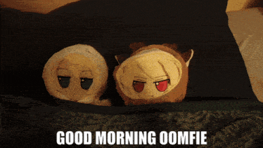two stuffed animals laying on a bed with the words good morning oomfie
