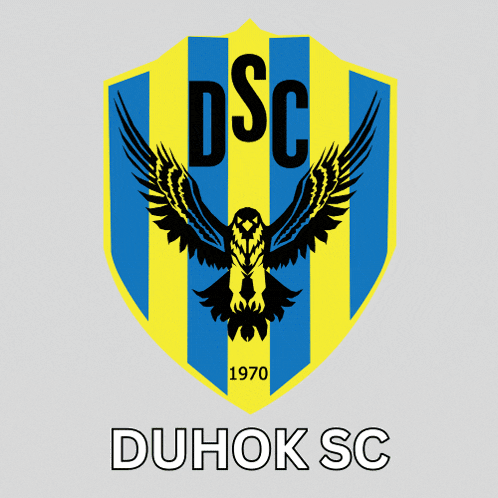 a blue and yellow striped shield with the letters dsc on it