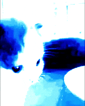 a blue and white painting of a dog looking at something