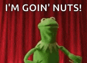 kermit the frog is standing in front of a red curtain and saying `` i 'm goin ' nuts '' .