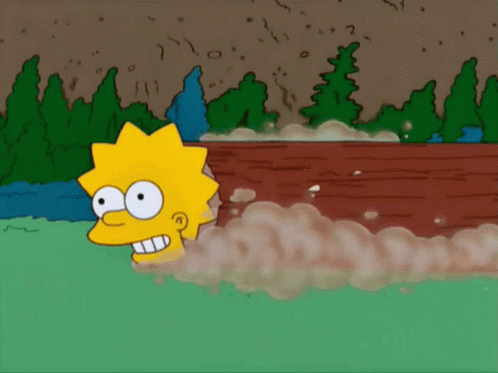 The Simpsons Lisa Simpson GIF - The Simpsons Lisa Simpson This Log Is Your Log GIFs